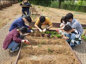 세상을 향한 날갯짓, 고등 4-H 생명텃밭교육